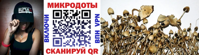 Купить  Сухой Лог  Галлюциногенные грибы MAGIC MUSHROOMS 