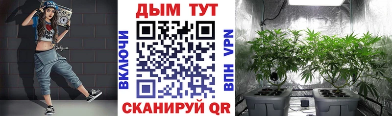 Бошки Шишки Bruce Banner  Купить где  Сухой Лог 